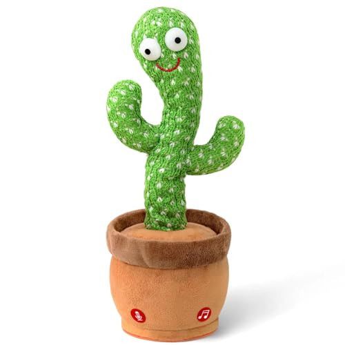 Dancing Cactus