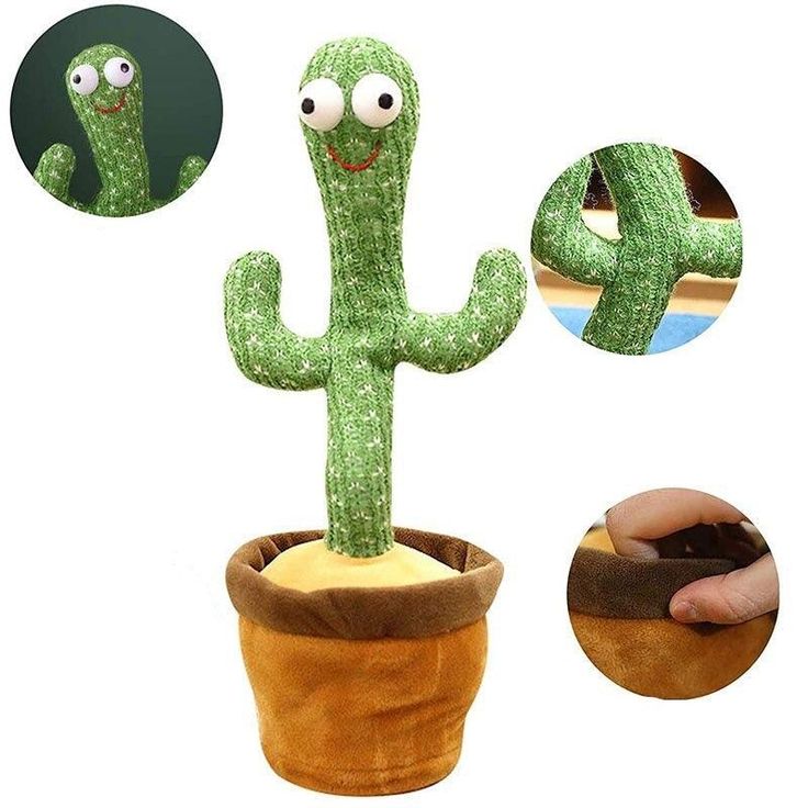 Dancing Cactus